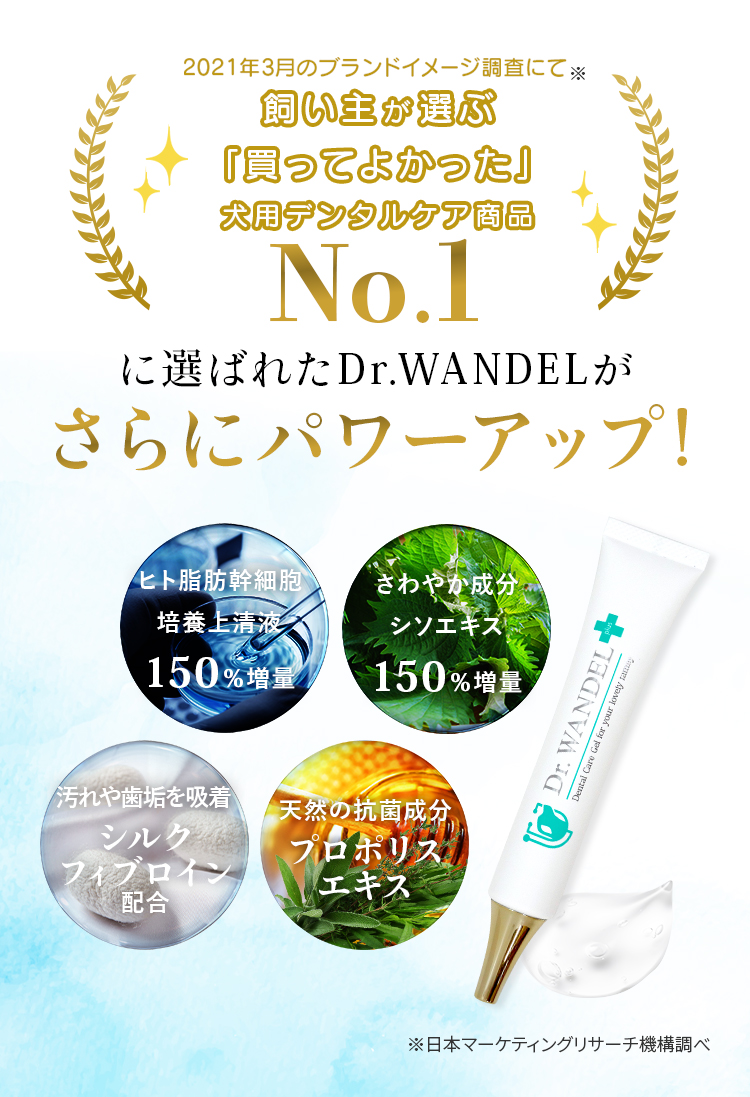 【新品未開封】カンデル KANDEL 15本入り✕ 3袋 / Dr.WANDEL