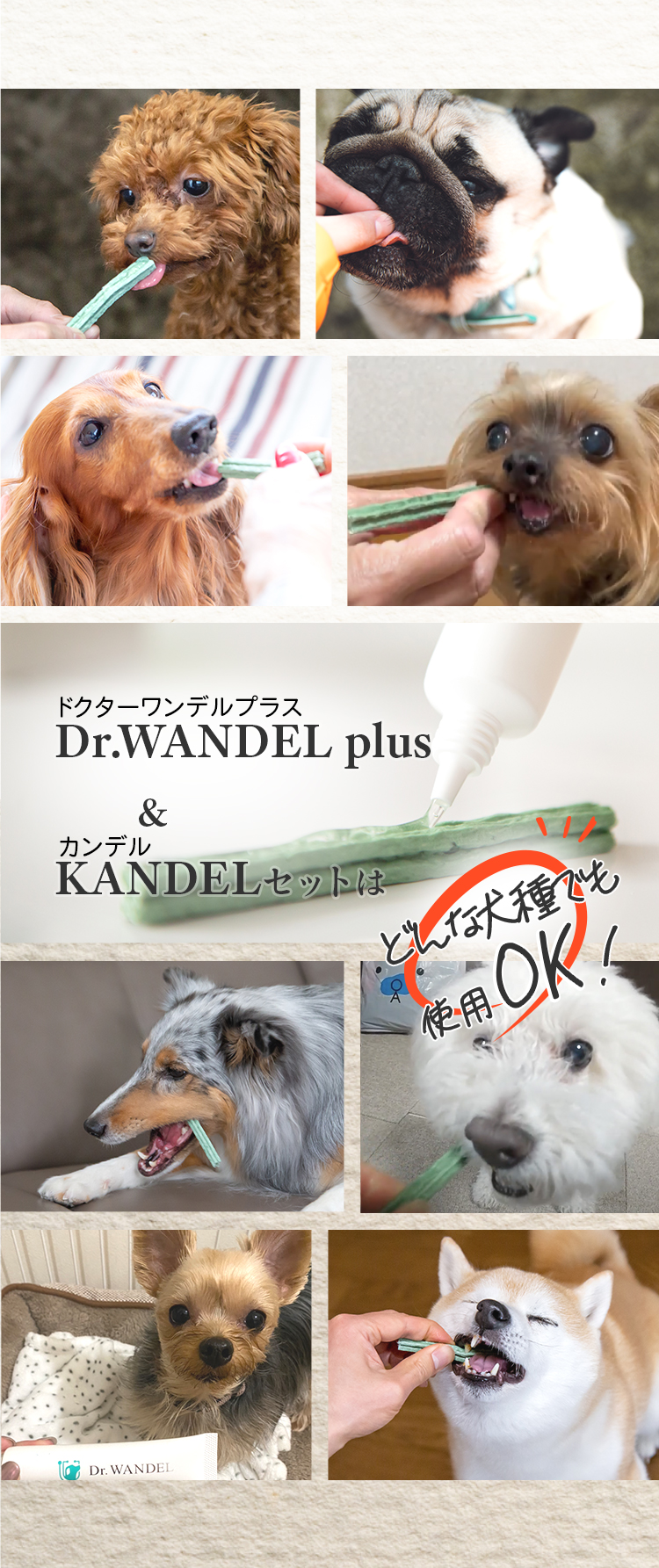 Dr.WANDEL（ドクターワンデル）＋KANDEL（カンデル）セット