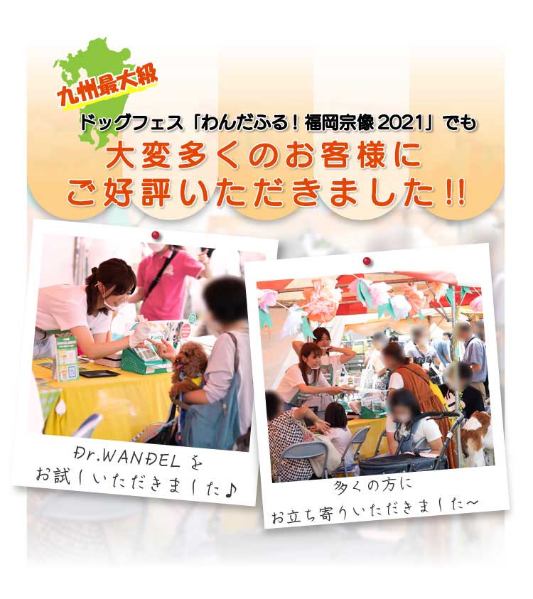 Dr.WANDEL(ドクターワンデル)+KANDEL(カンデル)セット