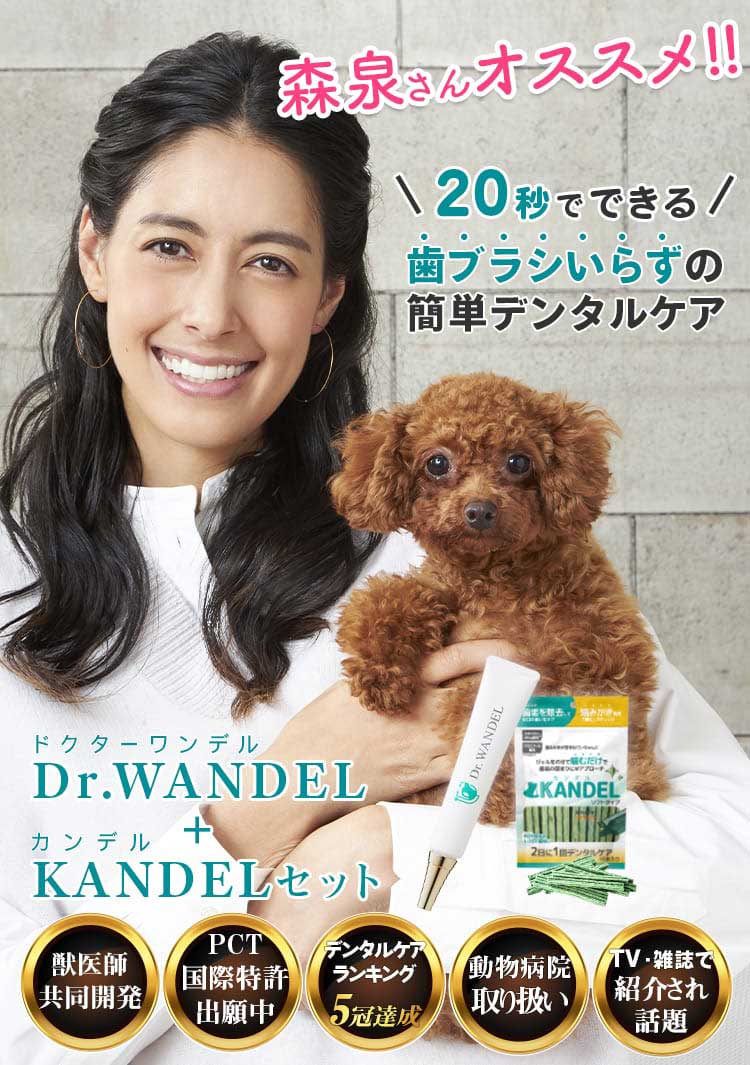 Dr.WANDEL(ドクターワンデル)+KANDEL(カンデル)セット