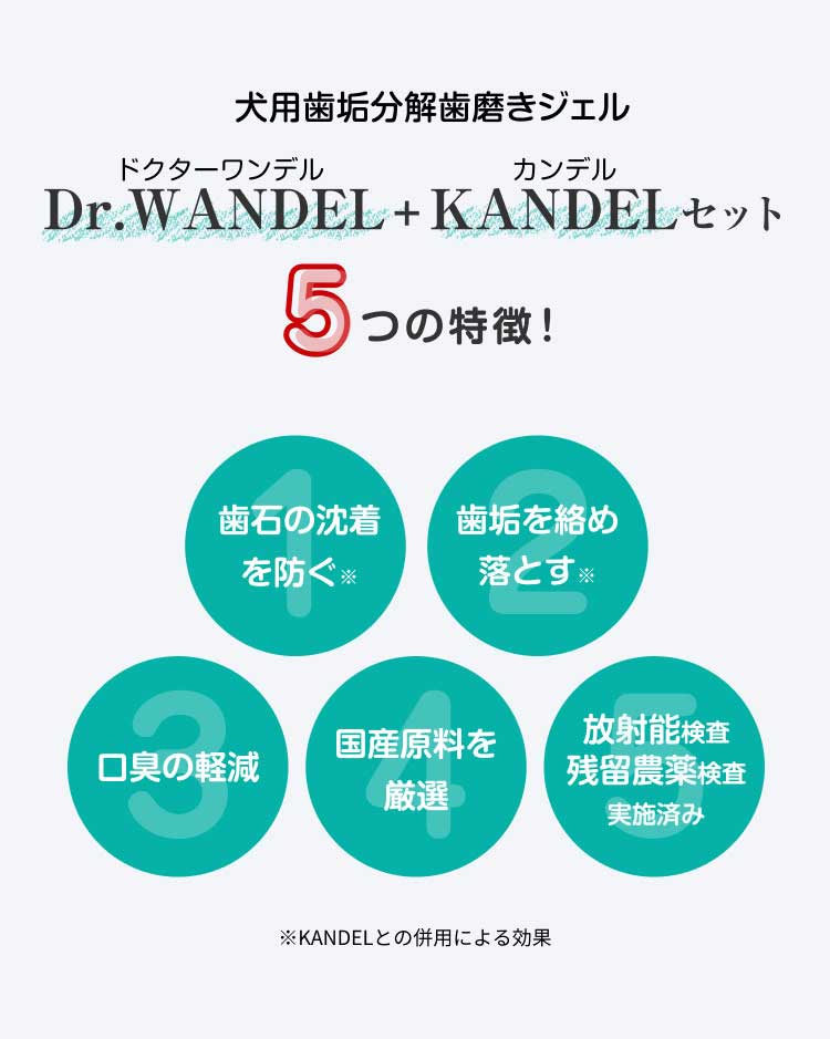 Dr.WANDEL（ドクターワンデル）＋KANDEL（カンデル）セット