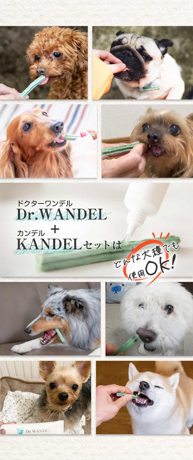 Dr.WANDEL（ドクターワンデル）＋KANDEL（カンデル）セット