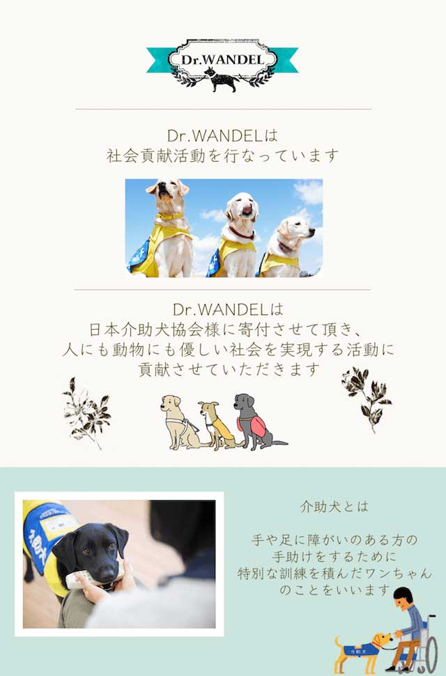 Dr.WANDEL(ドクターワンデル)+KANDEL(カンデル)セット