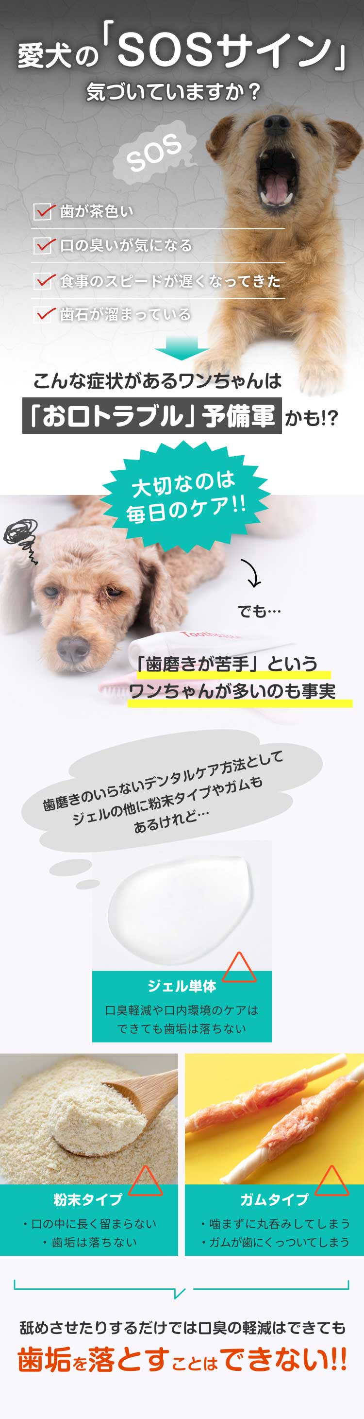 Dr.WANDEL(ドクターワンデル)+KANDEL(カンデル)セット