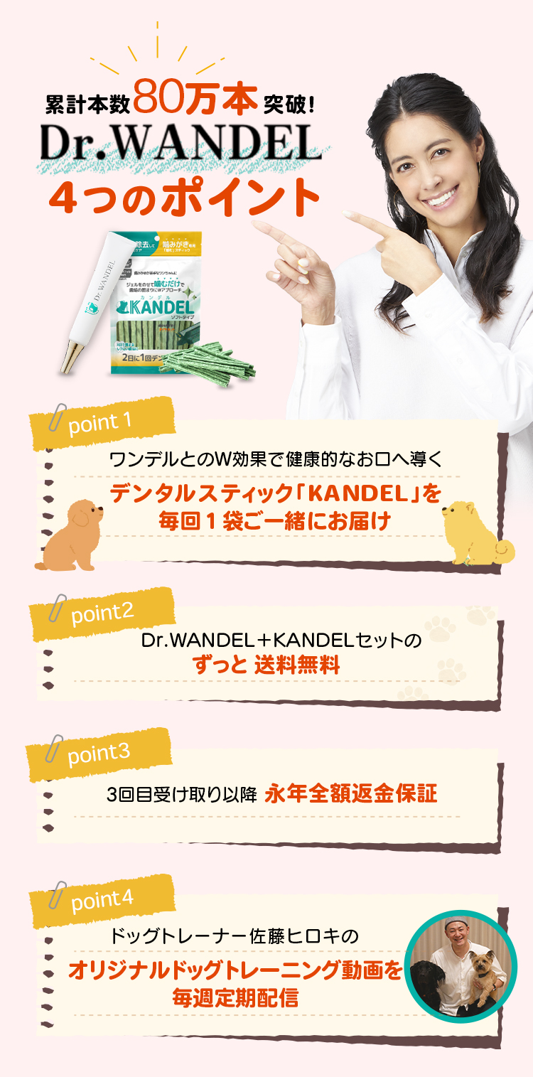 Dr.WANDEL（ドクターワンデル）＋KANDEL（カンデル）セット